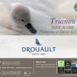 Oreiller-drouault-Trianon-duvet-de-canard-blanc-par-DROUAULT-01.jpg