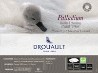 Palladium,Drouault