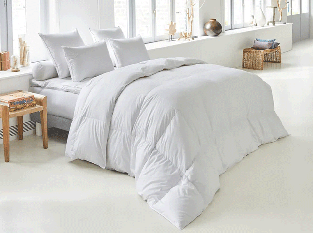 Oreiller Drouault Stella naturel Duvet Oie Supérieure extra gonflant  haute-couture (Livraison Offerte) Fabrication Française - Crealiterie