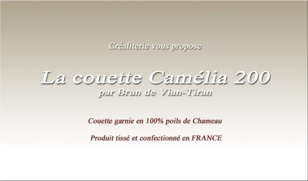 Couette Bvt Camelia 200 gr/m² Brun de Vian-Tiran en poils de chameau Fabrication Française – Image 2