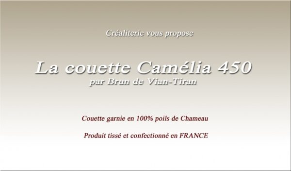Couette Bvt Camelia 450 gr/m² Brun de Vian-Tiran en poils de chameau Fabrication Française – Image 2