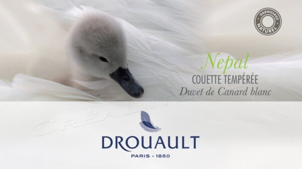 couette-nepal-chaude-duvet-de-canard-blanc-par-drouault-02