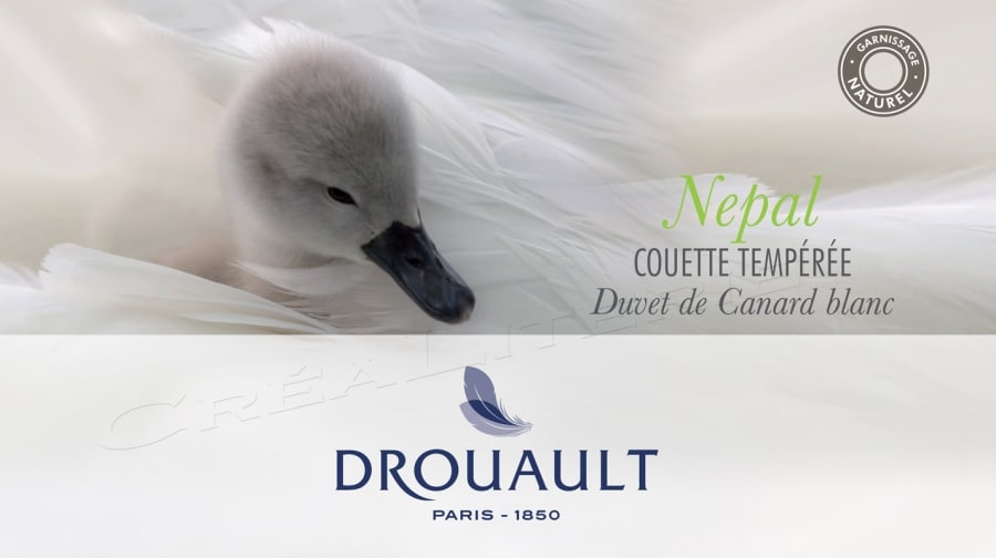 Couette naturelle 220x240 en duvet de canard français