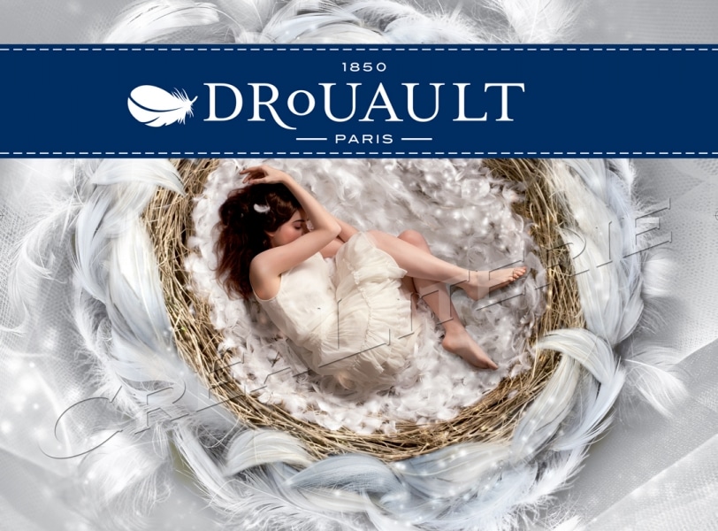 Oreiller Drouault Diva Premium Light Naturel en duvet d'Oie blanc des  neiges de Sibérie haut-luxe Fabrication Française - Crealiterie