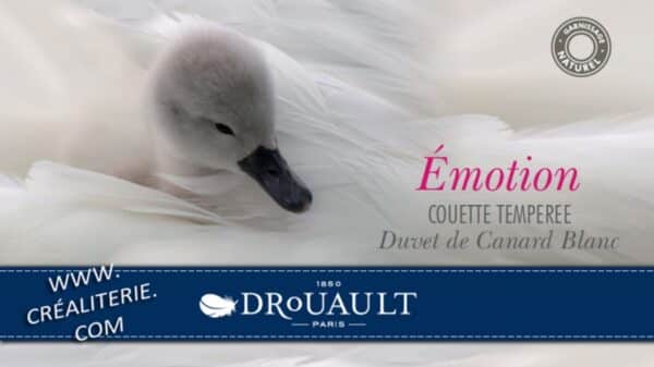 Couette  Drouault Émotion 270 g/m² naturel Duvet de canard blanc, anti-acariens Proneem® Fabrication Française – Image 2