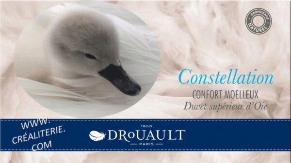 Traversin Constellation Naturel de Drouault en Duvet oie supérieure extra gonflant – Image 2