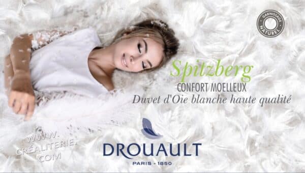 Traversin Spitzberg naturel de Drouault duvet d oie extra blanc, traité anti-acariens Proneem® Fabrication Française – Image 4