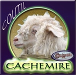 cachemire moderne08