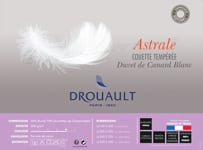 couette drouault astrale 300 gr duvet de canard extra gonfland par drouault 01 b 1