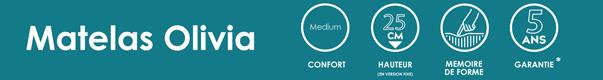 matelas andré renault olivia 25 cm, mémoire de forme 46kg/m³, fabriqué en france