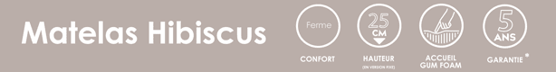 matelas andré renault hibiscus 25 cm, gum foa + Éole air 35 fabriqué en france