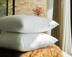 oreiller drouault millénium mi ferme en duvet d'oie fabriqué en france